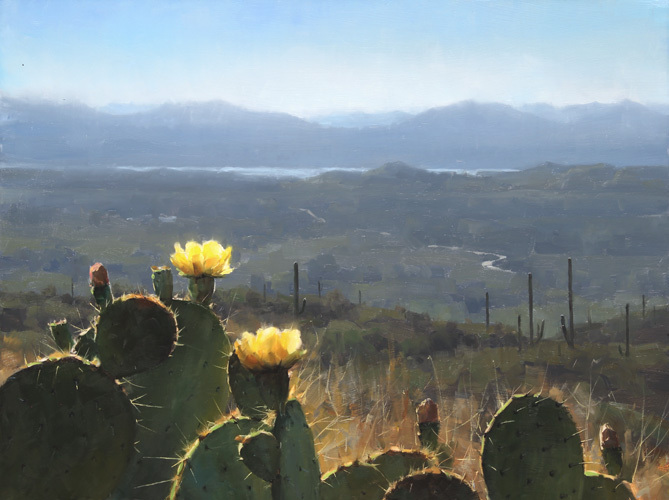 sonoran_spring_24x32_2